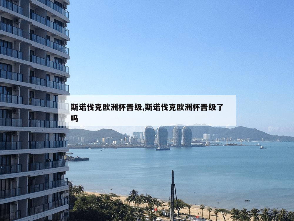 斯诺伐克欧洲杯晋级,斯诺伐克欧洲杯晋级了吗