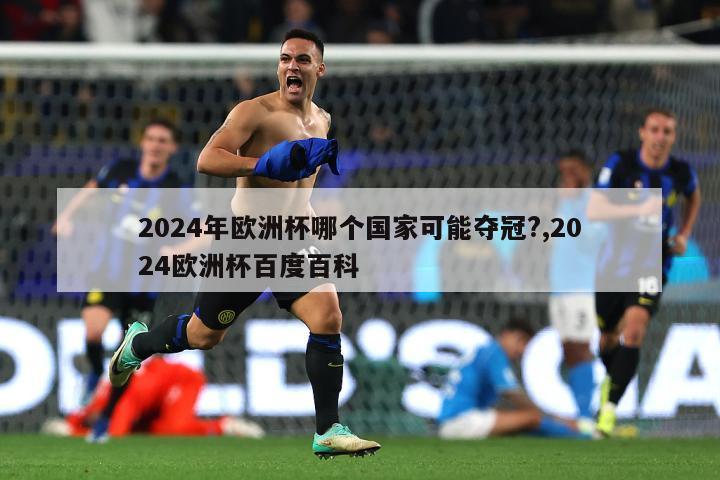 2024年欧洲杯哪个国家可能夺冠?,2024欧洲杯百度百科