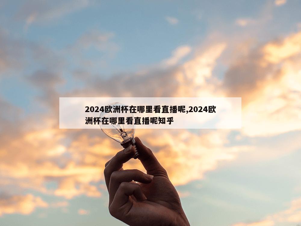 2024欧洲杯在哪里看直播呢,2024欧洲杯在哪里看直播呢知乎