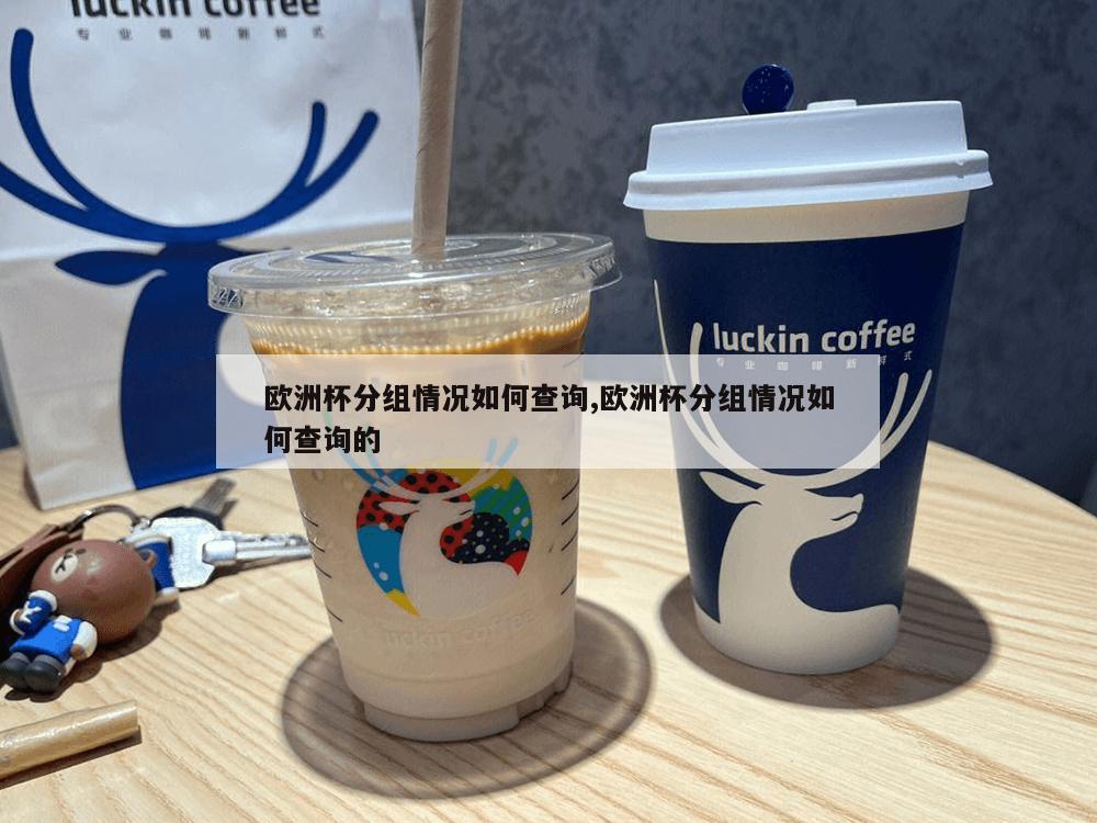 欧洲杯分组情况如何查询,欧洲杯分组情况如何查询的