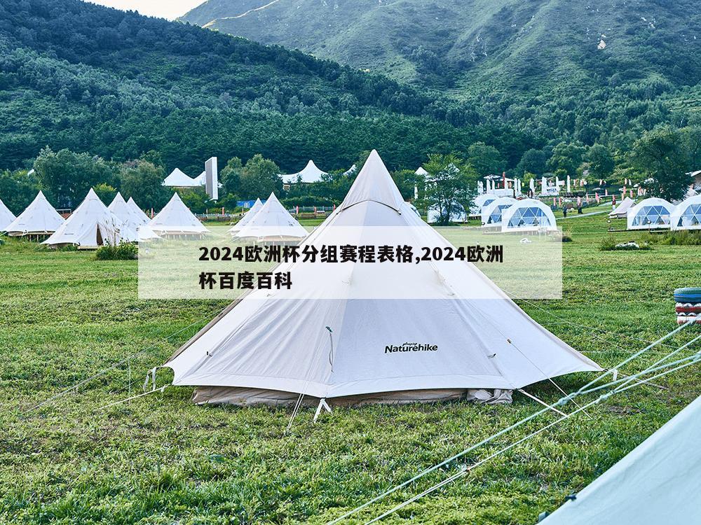 2024欧洲杯分组赛程表格,2024欧洲杯百度百科